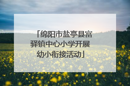绵阳市盐亭县富驿镇中心小学开展幼小衔接活动