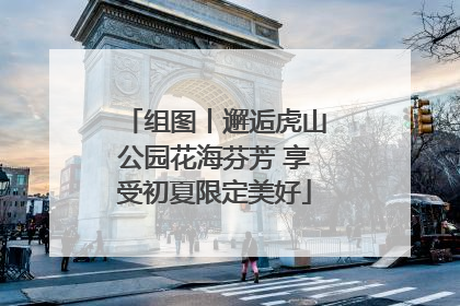 组图丨邂逅虎山公园花海芬芳 享受初夏限定美好