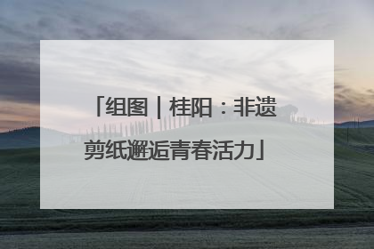 组图｜桂阳：非遗剪纸邂逅青春活力