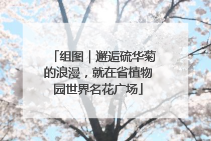组图｜邂逅硫华菊的浪漫，就在省植物园世界名花广场