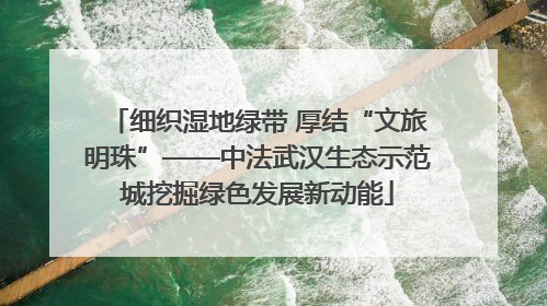 细织湿地绿带 厚结“文旅明珠”——中法武汉生态示范城挖掘绿色发展新动能