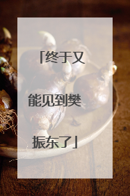 终于又能见到樊振东了