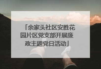 余家头社区安胜花园片区党支部开展廉政主题党日活动