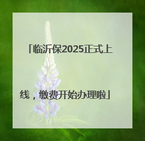临沂保2025正式上线，缴费开始办理啦