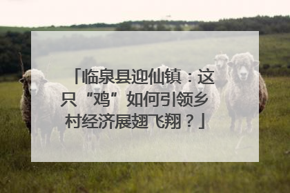 临泉县迎仙镇：这只“鸡”如何引领乡村经济展翅飞翔？