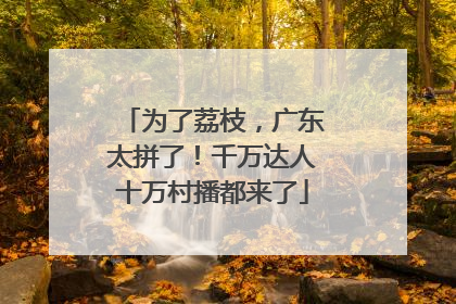 为了荔枝，广东太拼了！千万达人十万村播都来了