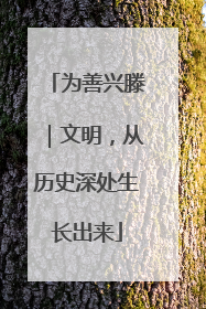 为善兴滕｜文明，从历史深处生长出来