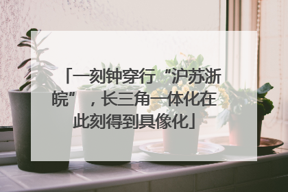 一刻钟穿行“沪苏浙皖”，长三角一体化在此刻得到具像化