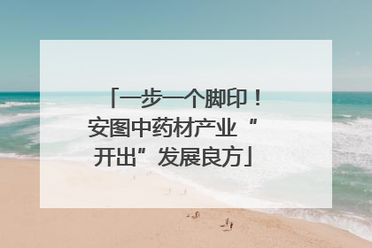 一步一个脚印！安图中药材产业“开出”发展良方