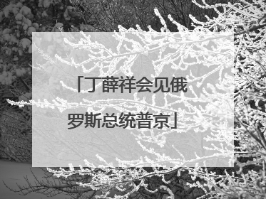 丁薛祥会见俄罗斯总统普京