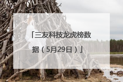 三友科技龙虎榜数据（5月29日）