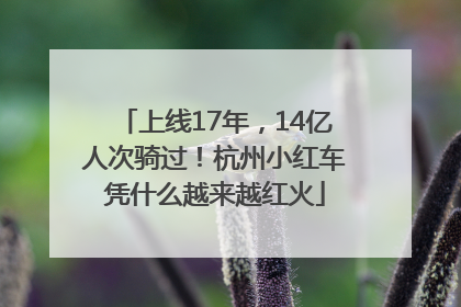 上线17年，14亿人次骑过！杭州小红车凭什么越来越红火