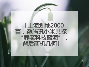 上海划地2000亩，邀腾讯小米共探“养老科技蓝海”，背后商机几何