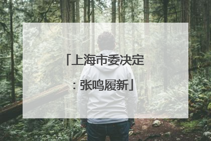 上海市委决定：张鸣履新