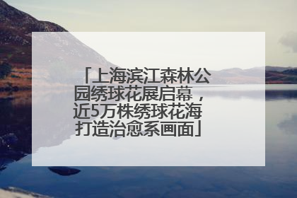 上海滨江森林公园绣球花展启幕，近5万株绣球花海打造治愈系画面