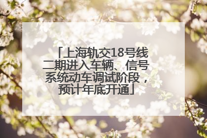 上海轨交18号线二期进入车辆、信号系统动车调试阶段，预计年底开通