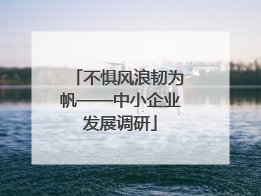 不惧风浪韧为帆——中小企业发展调研
