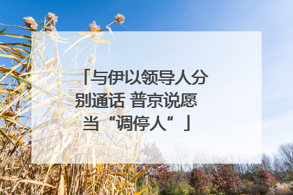 与伊以领导人分别通话 普京说愿当“调停人”