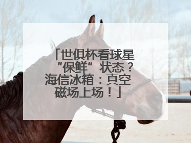 世俱杯看球星“保鲜”状态？海信冰箱：真空磁场上场！