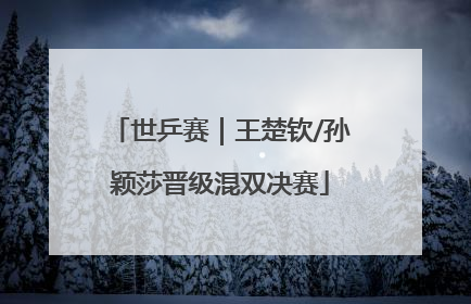 世乒赛｜王楚钦/孙颖莎晋级混双决赛