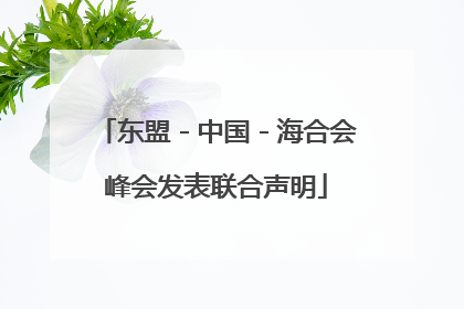 东盟－中国－海合会峰会发表联合声明