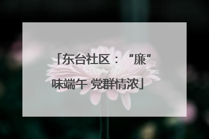 东台社区：“廉”味端午 党群情浓