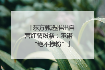 东方甄选推出自营红薯粉条：承诺“绝不掺粉”