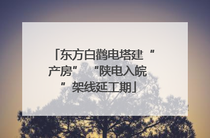 东方白鹳电塔建“产房” “陕电入皖”架线延工期