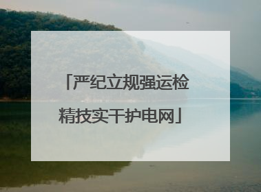 严纪立规强运检 精技实干护电网