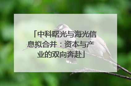 中科曙光与海光信息拟合并：资本与产业的双向奔赴