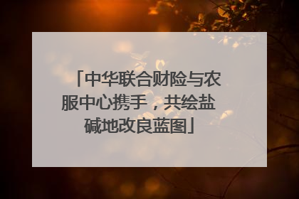中华联合财险与农服中心携手，共绘盐碱地改良蓝图