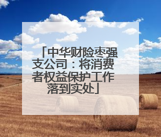 中华财险枣强支公司：将消费者权益保护工作落到实处