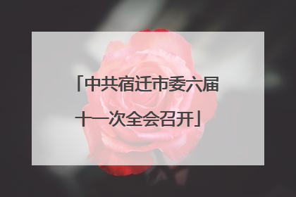 中共宿迁市委六届十一次全会召开