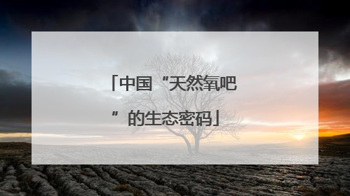 中国“天然氧吧”的生态密码