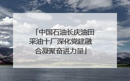 中国石油长庆油田采油十厂深化党建融合凝聚奋进力量