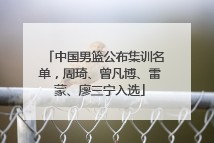 中国男篮公布集训名单，周琦、曾凡博、雷蒙、廖三宁入选