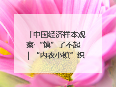中国经济样本观察·“镇”了不起｜“内衣小镇”织出500亿元“里子产业”
