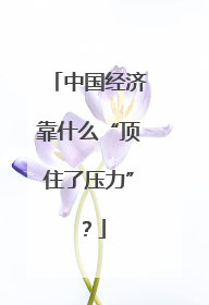 中国经济靠什么“顶住了压力”？