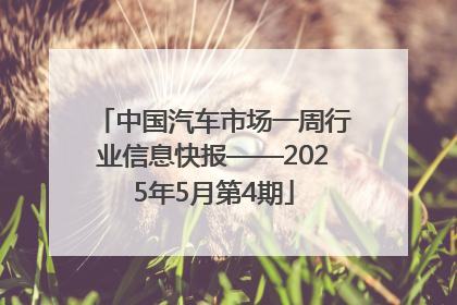 中国汽车市场一周行业信息快报——2025年5月第4期