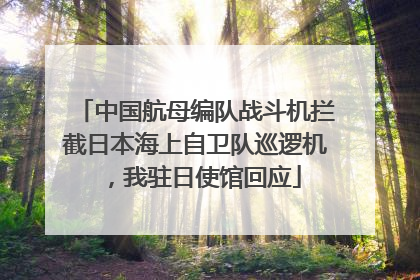 中国航母编队战斗机拦截日本海上自卫队巡逻机，我驻日使馆回应