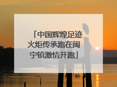 中国辉煌足迹火炬传承跑在闽宁镇激情开跑