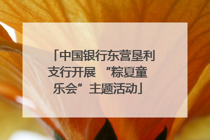 中国银行东营垦利支行开展 “粽夏童乐会”主题活动