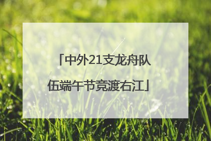 中外21支龙舟队伍端午节竞渡右江