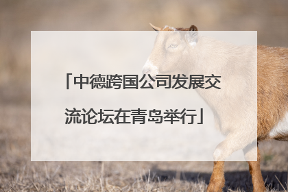 中德跨国公司发展交流论坛在青岛举行