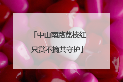 中山南路荔枝红 只赏不摘共守护