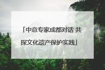 中意专家成都对话 共探文化遗产保护实践