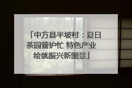 中方县半坡村：夏日茶园管护忙 特色产业绘就振兴新图景