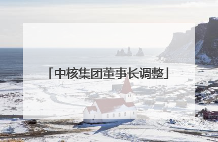 中核集团董事长调整