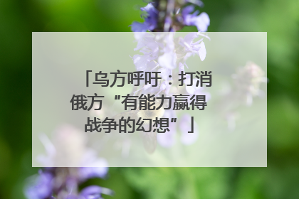 乌方呼吁：打消俄方“有能力赢得战争的幻想”