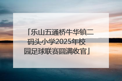 乐山五通桥牛华镇二码头小学2025年校园足球联赛圆满收官